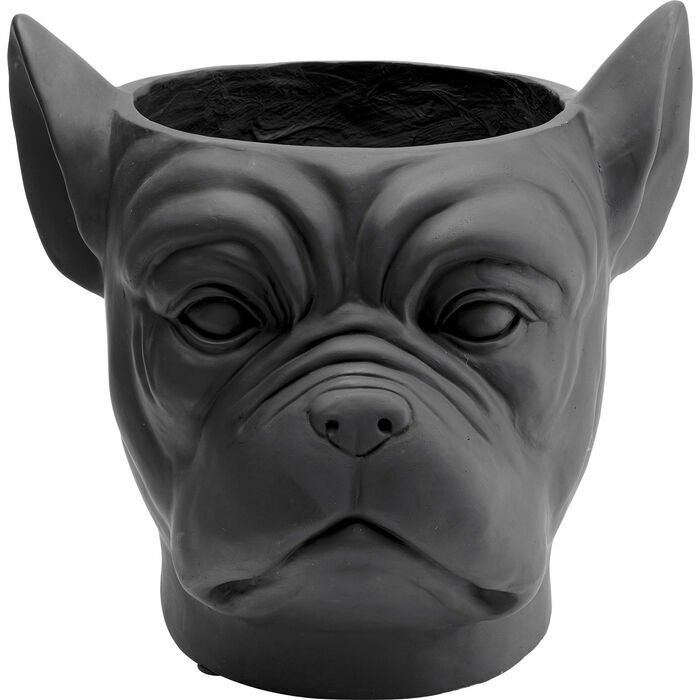 Bulldog Siyah Saksı