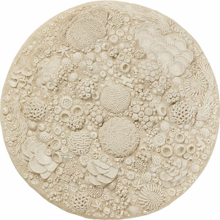 Coral Reef Duvar Süsü 123cm