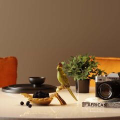 Parrot Guard Dekoratif Kase