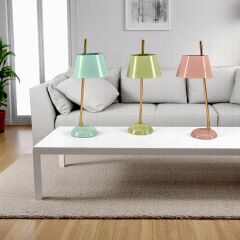 Elva Pembe Masa Lambası