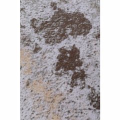 Colombu Tozlu Renk Görünümlü Pamuk Halı 200x300 cm