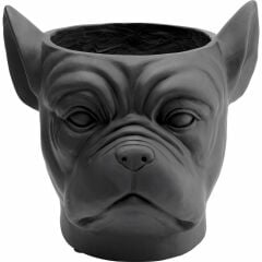 Bulldog Siyah Saksı
