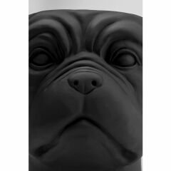 Bulldog Siyah Saksı