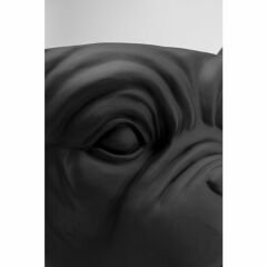 Bulldog Siyah Saksı