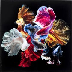 Colorful Swarm Fish Tablo 120x120cm