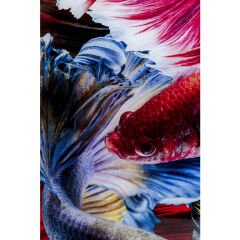 Colorful Swarm Fish Tablo 120x120cm