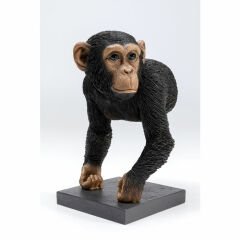Bookend Chimp Kitap Tutucu