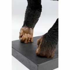 Bookend Chimp Kitap Tutucu