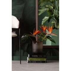 Vase Buckle Brown 21cm