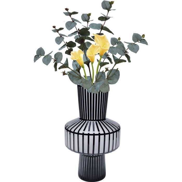 Roulette Belly Cam Vazo