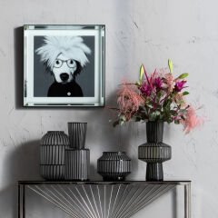 Roulette Belly Cam Vazo