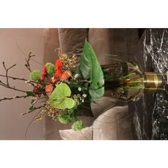 Noble Ring Brown Cam Vazo