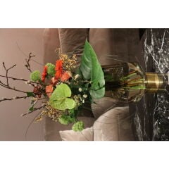 Noble Ring Brown Cam Vazo