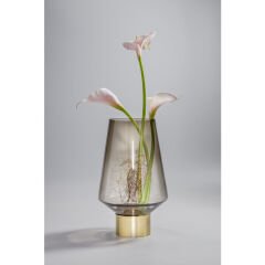 Noble Ring Brown Cam Vazo