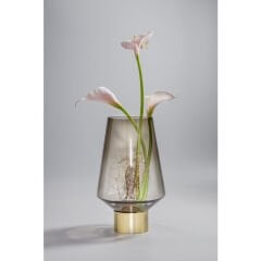 Noble Ring Brown Cam Vazo