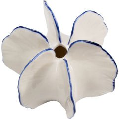 Coral Vazo 10cm