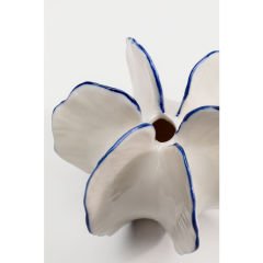 Coral Vazo 10cm