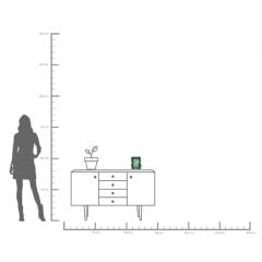 Picture Frame Ginkgo Leaf Green 17x20cm