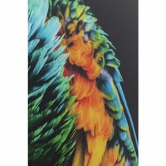 Tropical Parrot Cam Resim 120x80cm