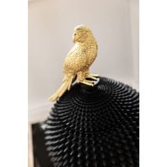 Parrot Box Reçine Vazo