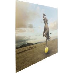 Balance Elephant Cam Resim 150x100cm
