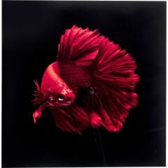 Fire Fish Cam Resim 100x100cm