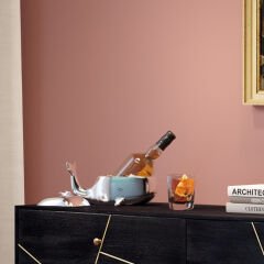 Whalefish Buz Kovası