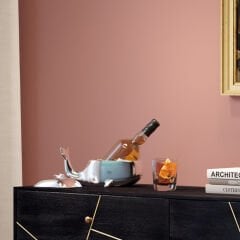 Whalefish Buz Kovası