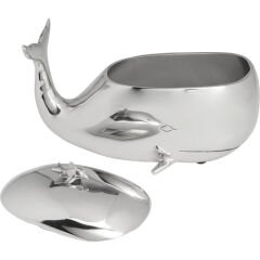 Whalefish Buz Kovası