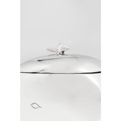 Whalefish Buz Kovası