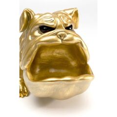 Deco Figurine Hungry Dog Gold 37cm