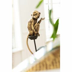 Circus Monkey 109 Dekoratif Obje