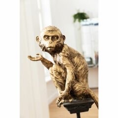 Circus Monkey 109 Dekoratif Obje