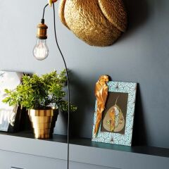Parrot Çerçeve