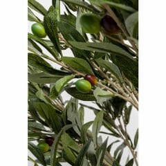 Zeytin Ağacı Dekoratif Bitki 120cm