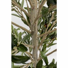 Zeytin Ağacı Dekoratif Bitki 120cm