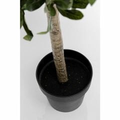 Zeytin Ağacı Dekoratif Bitki 120cm