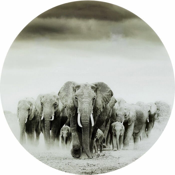 Elephant Walk Cam Resim 120cm
