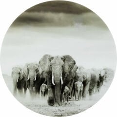 Elephant Walk Cam Resim 120cm