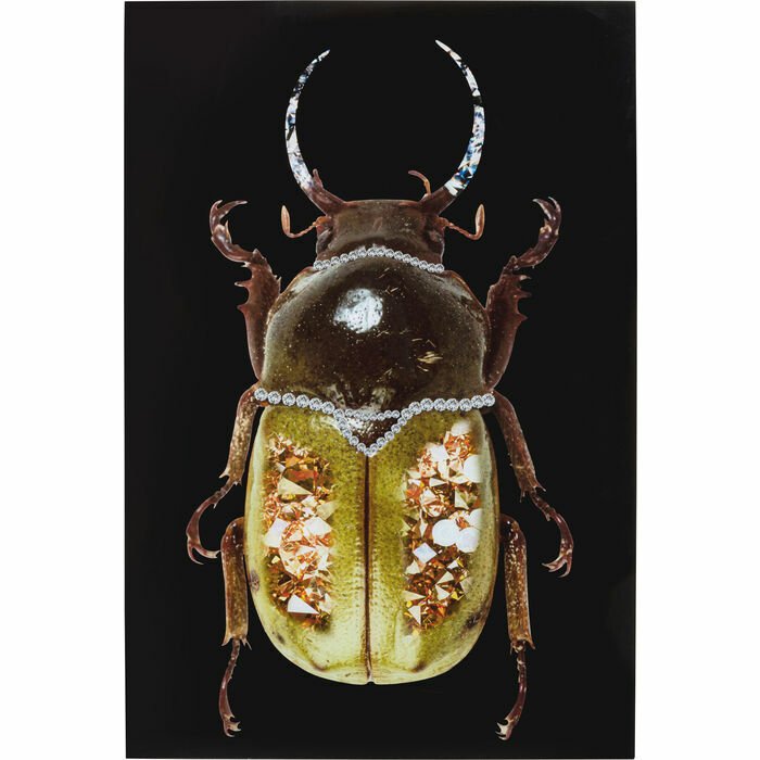 Shiney Dung Beetle Cam Resim 80x120cm
