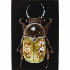 Shiney Dung Beetle Cam Resim 80x120cm