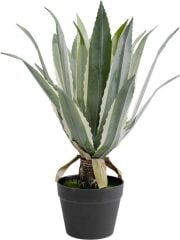 Deco Plant Agave 50cm