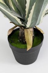 Deco Plant Agave 50cm