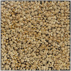 Gold Flower Çerçeveli Tablo