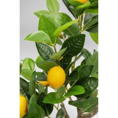 Deco Plant Lemon Tree 60cm