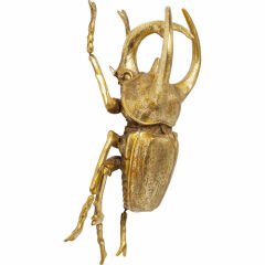 Atlas Beetle Gold Duvar Süsü