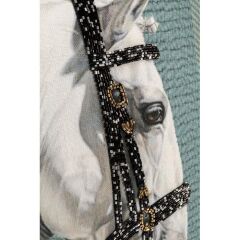 Cushion Show Horse Head 45x45cm