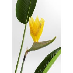 Paradise Flowers Yapay Dekoratif Bitki
