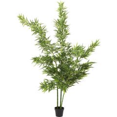 Bambu Ağacı Dekoratif Bitki 200cm