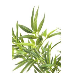 Bambu Ağacı Dekoratif Bitki 200cm